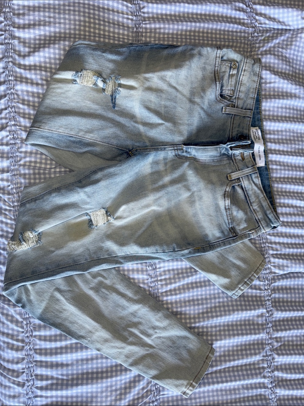 Signature by Levi Strauss Light Blue Distressed Jeggings